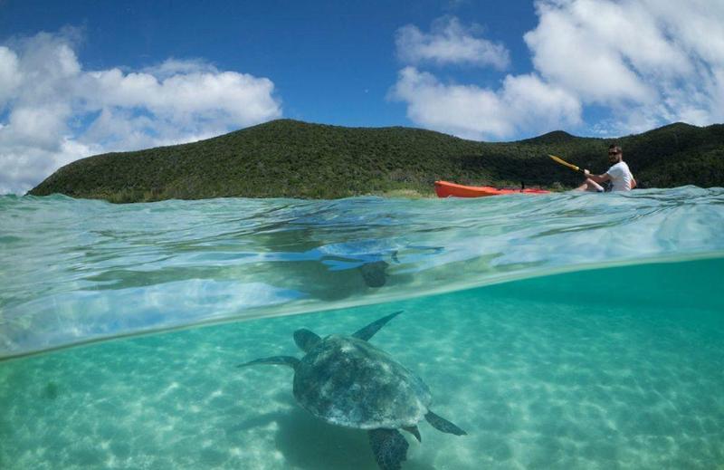 هتل Arajilla Retreat