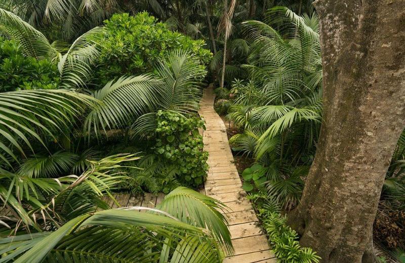 هتل Arajilla Retreat