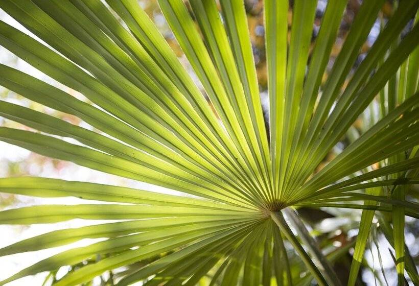 Auszeit Hotel Düsseldorf   Das Frühstückshotel   Partner Of Sorat Hotels