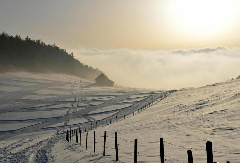 בית מלון כפרי Bad Ramsach