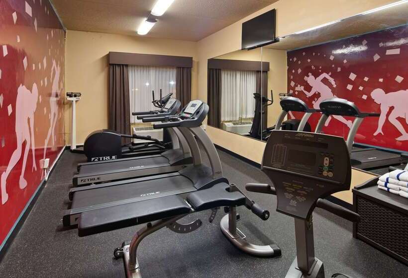 酒店 Best Western Holiday Manor