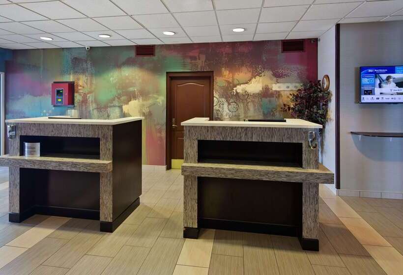 酒店 Best Western Holiday Manor