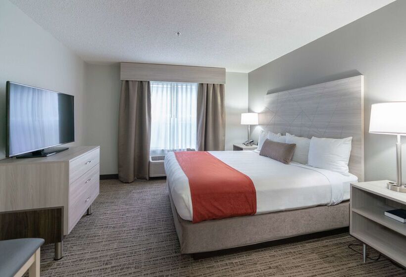 فندق Best Western Plus Lake City