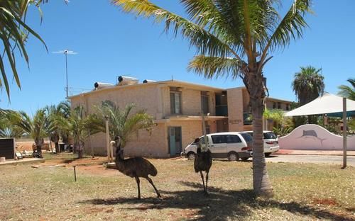 هتل Sea Breeze Resort