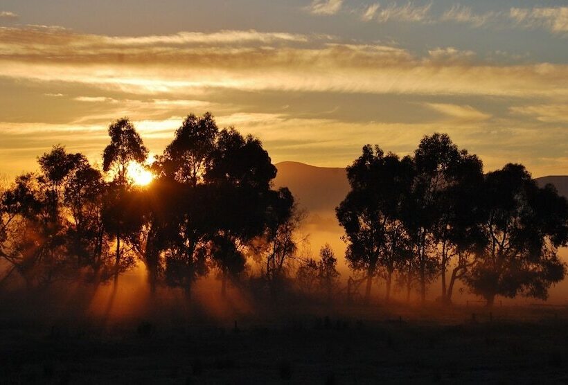 Отель Chateau Yering