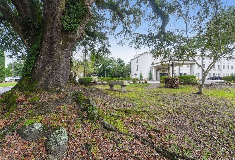 هتل Spark By Hilton Lafayette South