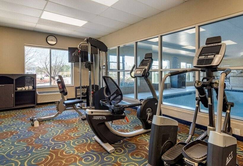 هتل Comfort Inn & Suites Near Six Flags