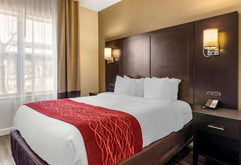 فندق Comfort Inn & Suites Near Six Flags