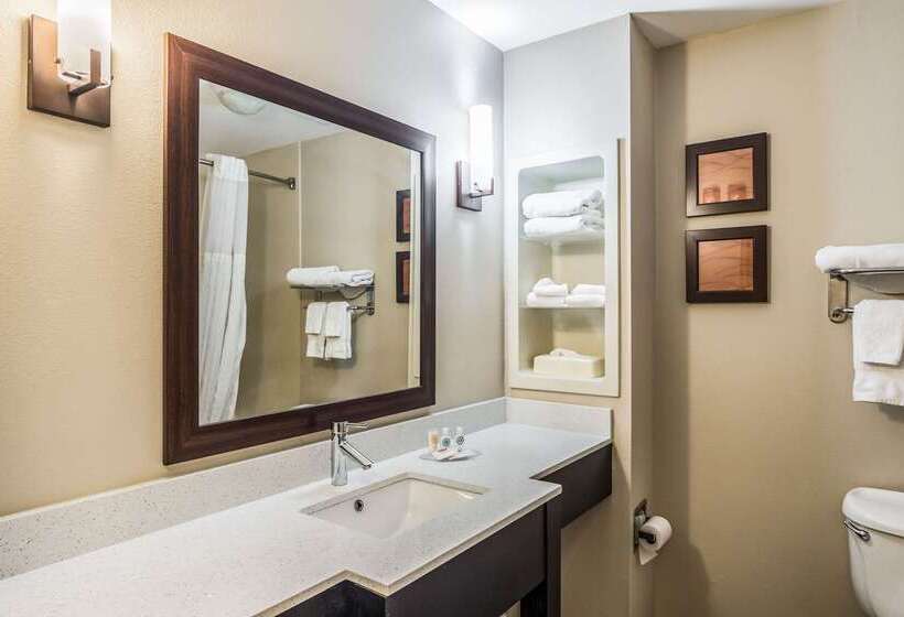 هتل Comfort Inn & Suites Chattanooga West   Lookout Mountain