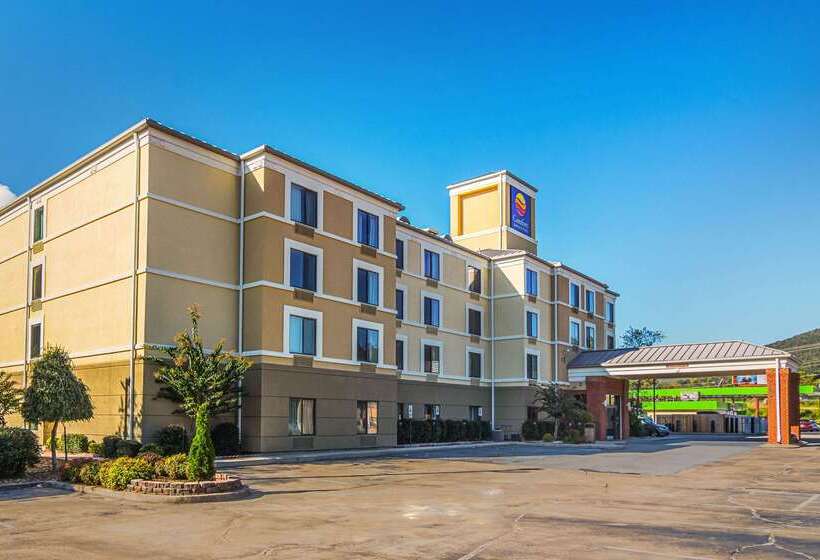 هتل Comfort Inn & Suites Chattanooga West   Lookout Mountain