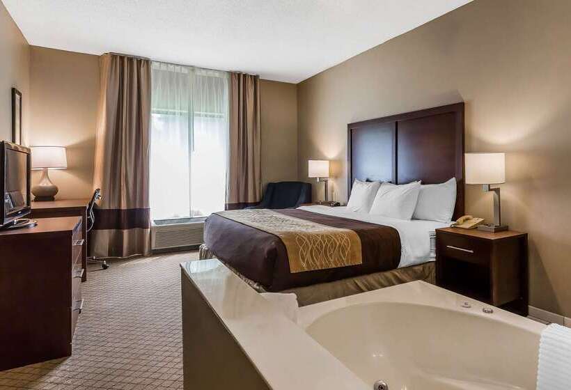 فندق Comfort Inn & Suites Mishawakasouth Bend