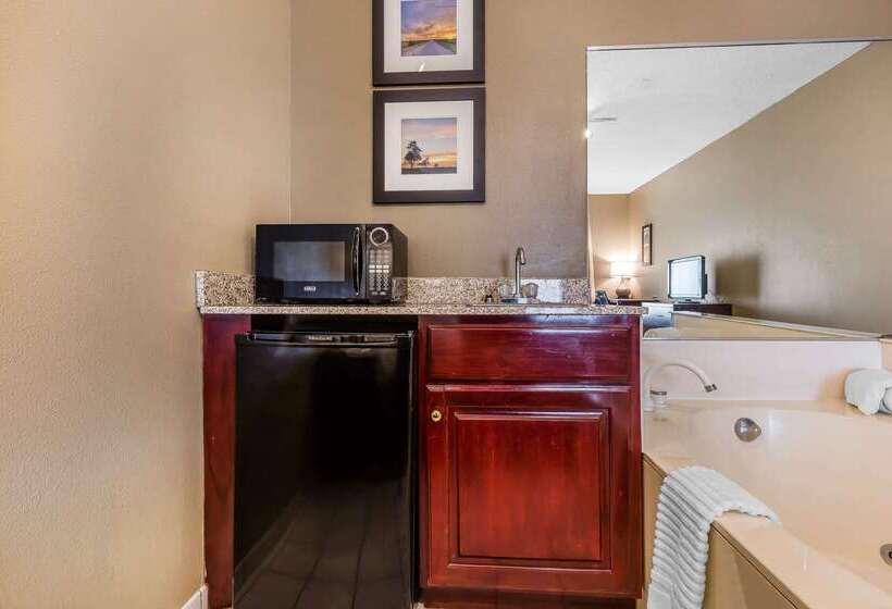 酒店 Comfort Inn & Suites Mishawakasouth Bend