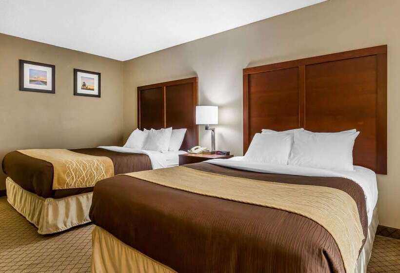 فندق Comfort Inn & Suites Mishawakasouth Bend