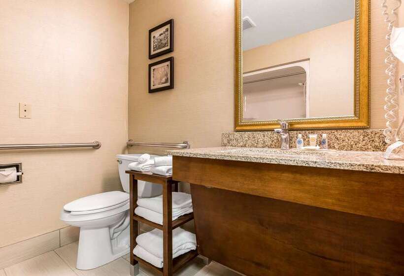 فندق Comfort Inn & Suites Mishawakasouth Bend