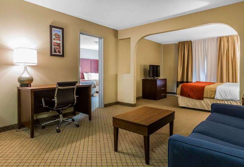 فندق Comfort Inn & Suites Mishawakasouth Bend