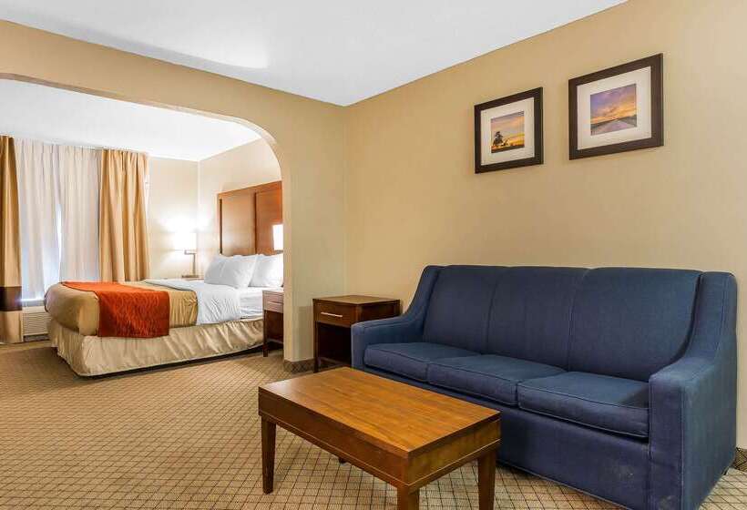 فندق Comfort Inn & Suites Mishawakasouth Bend