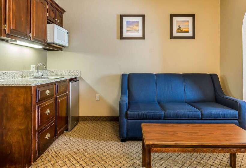 فندق Comfort Inn & Suites Mishawakasouth Bend