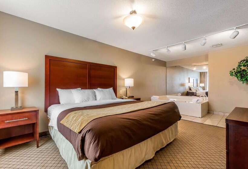 فندق Comfort Inn & Suites Mishawakasouth Bend