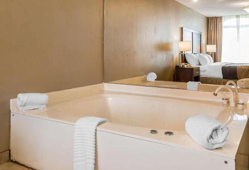 酒店 Comfort Inn & Suites Mishawakasouth Bend