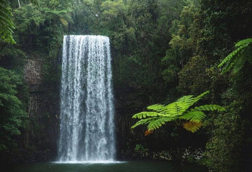 בית מלון כפרי Coral Tree Inn