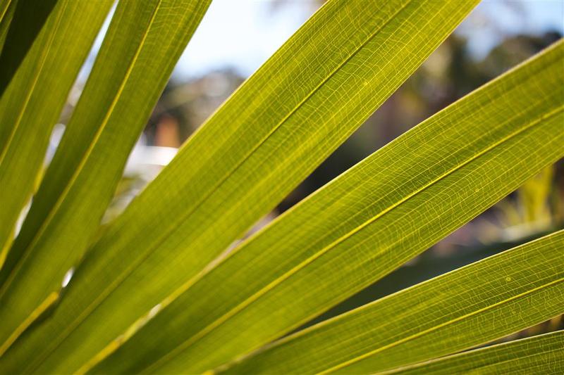 בית מלון כפרי Fairway Motor Inn