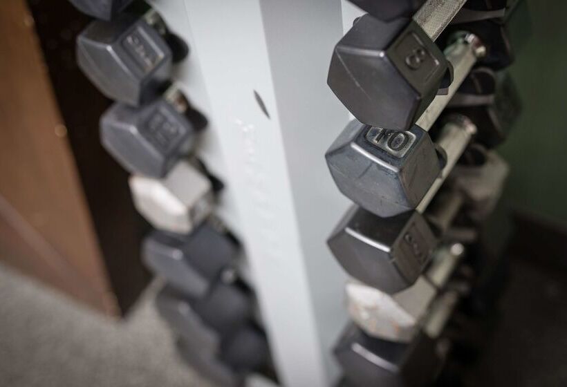 酒店 Hampton Inn San Francisco Airport