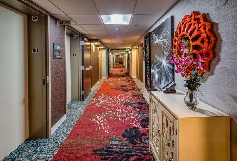 فندق Hampton Inn San Francisco Airport