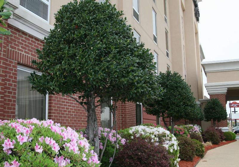 هتل Hampton Inn Shreveport Airport