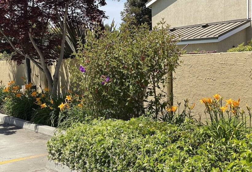 בית מלון כפרי Holiday Inn Express Redwood City Central, An Ihg