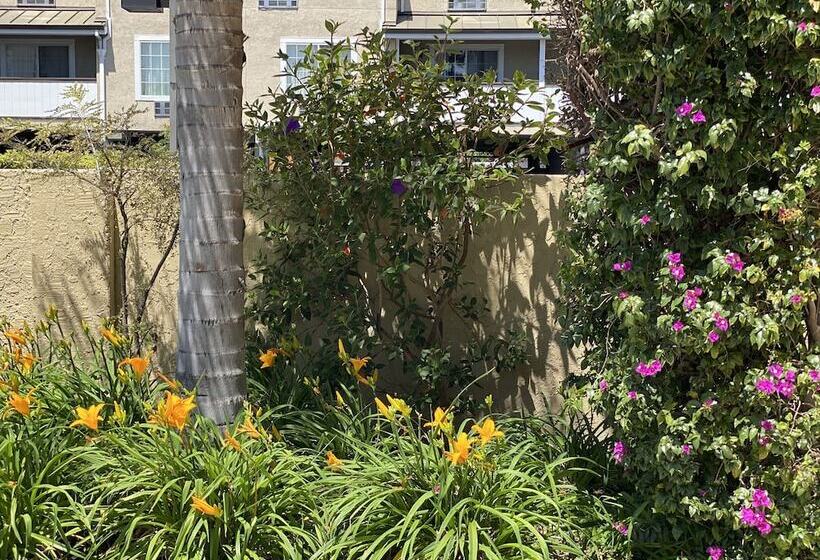 فندق Holiday Inn Express Redwood City Central, An Ihg