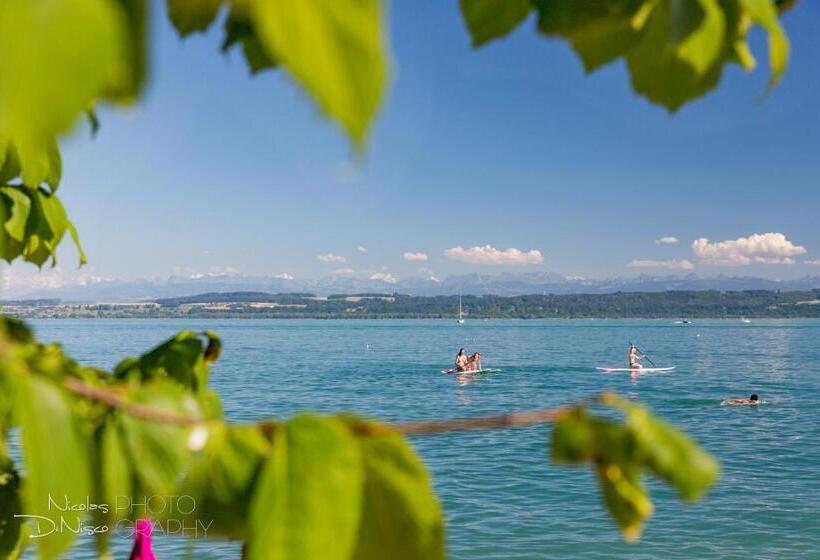 Отель Hôtel Des Arts