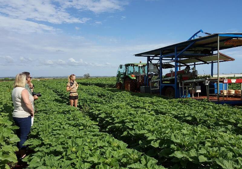 فندق Kellys Beach Resort