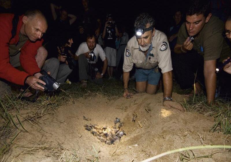 فندق Kellys Beach Resort