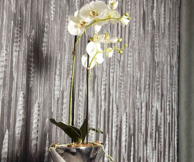 酒店 Kurhaus Design Boutique