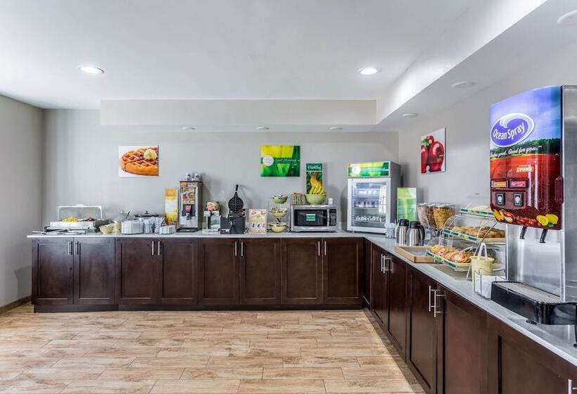 בית מלון כפרי Quality Inn & Suites El Paso I 10