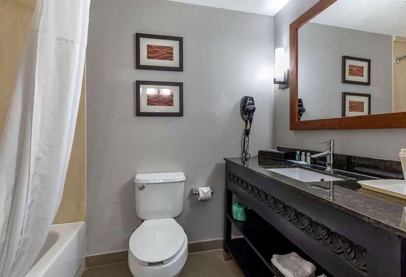 فندق Quality Inn & Suites I 35 E Walnut Hill