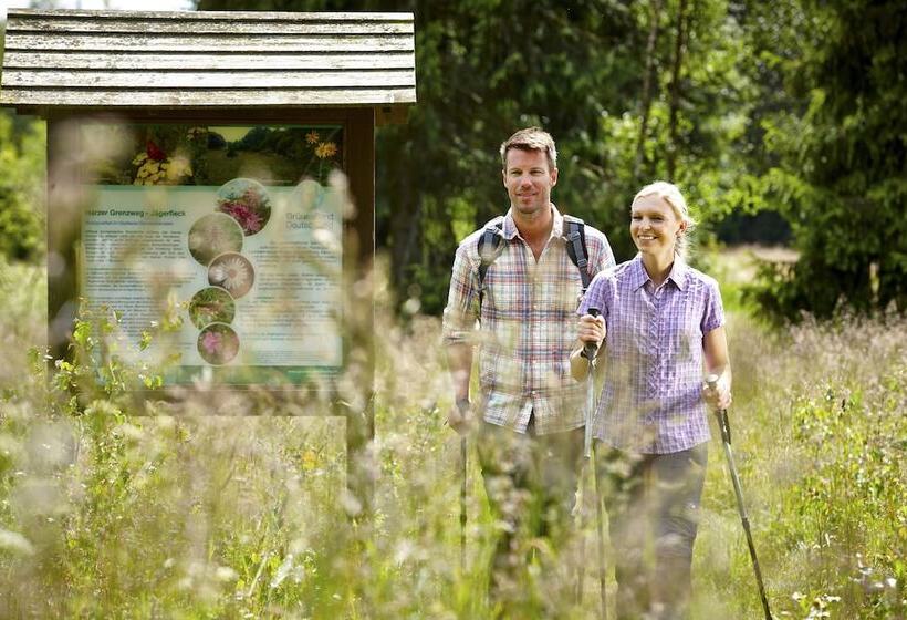 Relexa Hotel Harz Wald Braunlage Gmbh