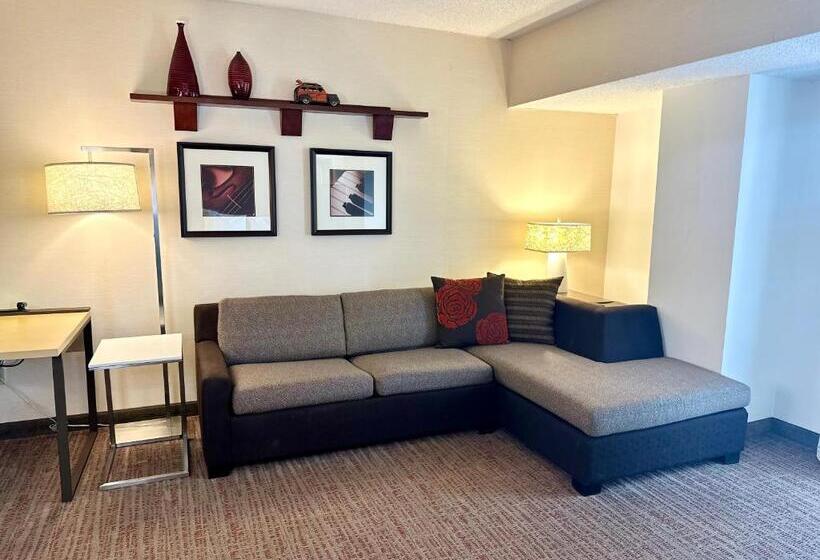 هتل Residence Inn Minneapolis Downtown/city Center