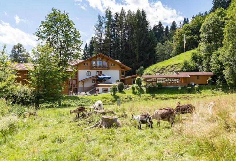 ホテル Restaurant Forellenbach