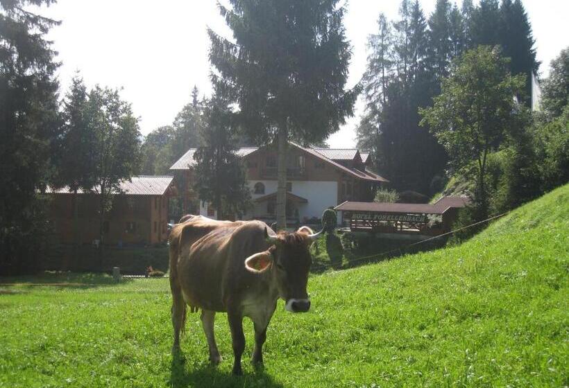 ホテル Restaurant Forellenbach