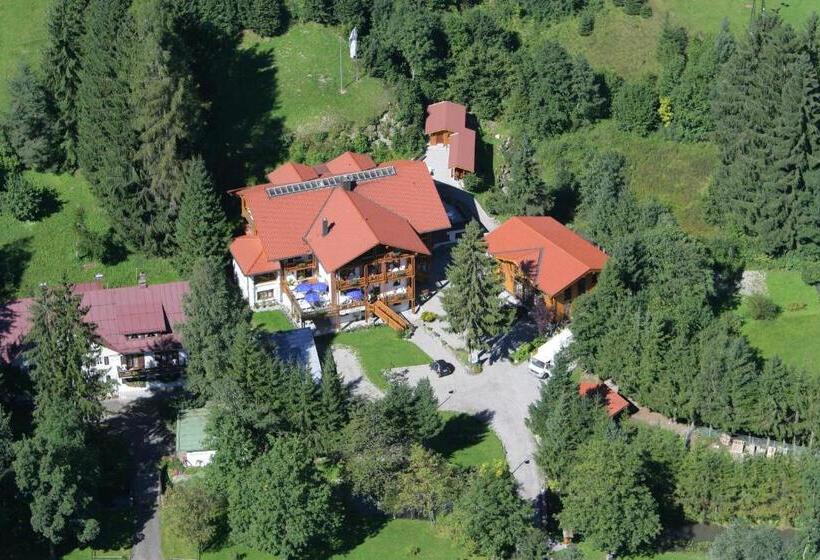 ホテル Restaurant Forellenbach