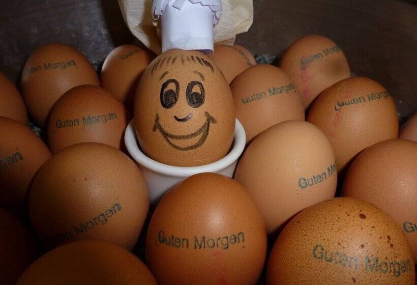 Ringhotel Weißer Hirsch