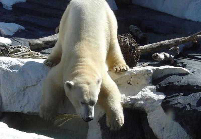 فندق San Diego Marriott Del Mar