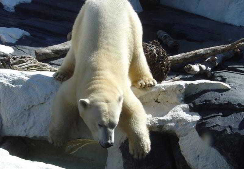 فندق San Diego Marriott Del Mar