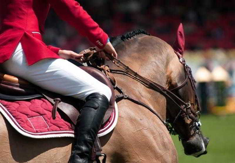 فندق San Diego Marriott Del Mar