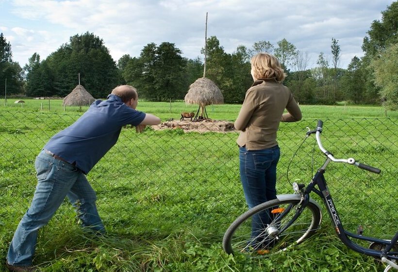 ホテル Schloss Lübbenau