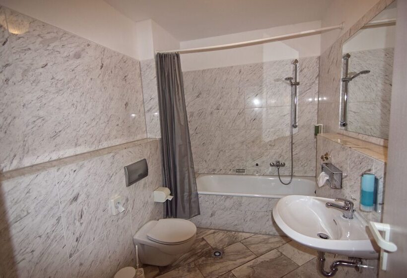 酒店 Sächsischer Hof