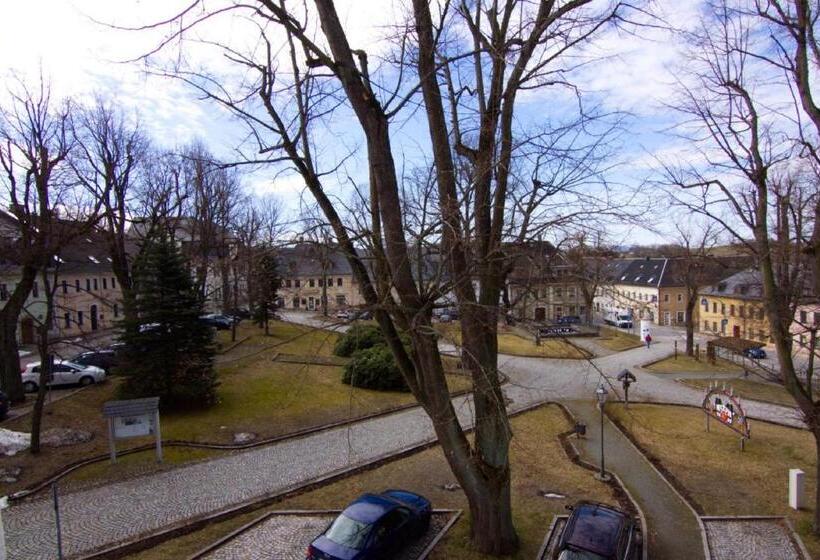 酒店 Sächsischer Hof