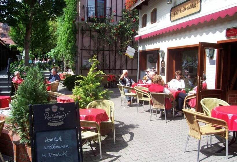 فندق Schwarzer Adler Tangermünde