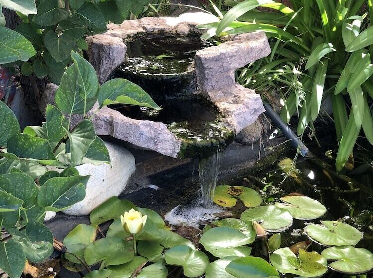 هتل Settlement Motor Inn